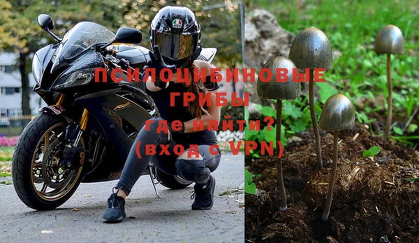 крисы Алексин
